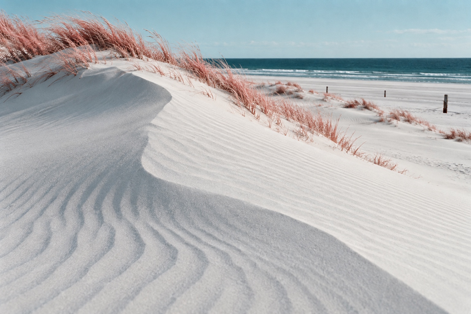 White sand dunes and coral grass overlook a dark teal ocean.