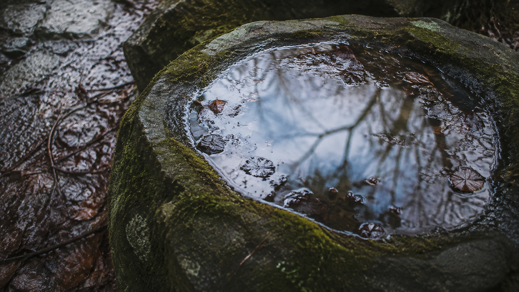 Wabi-Sabi aesthetic: Landscape dossier scene